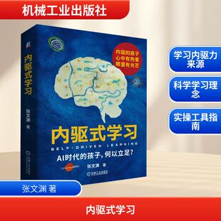 【新华文轩】内驱式学习 张文渊 AI时代的孩子 何以立足 青少年AI学习 正版书籍 新华书店旗舰店文轩官网 机械工业出版社