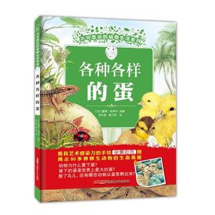 比利时纯手绘动物科普绘本观察力表达力蝴蝶卵80 不可思议 精 蛋 动物幼儿园中班大班一二三四年级 动物生活系列各种各样