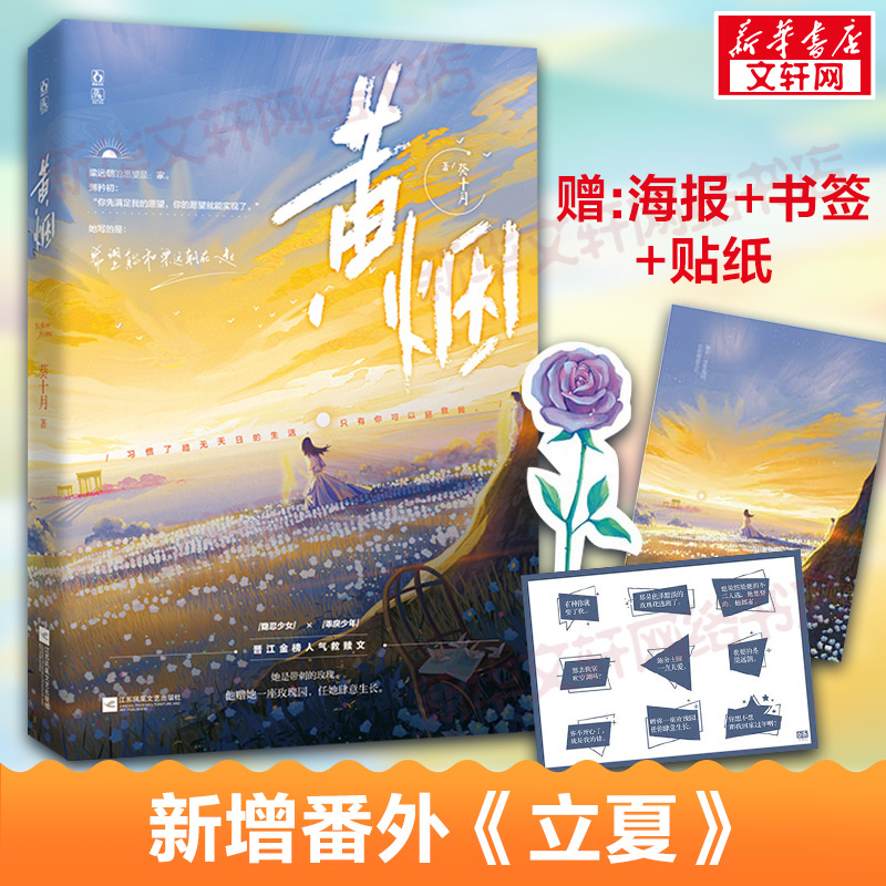 新华书店正版 青春小说 文轩网