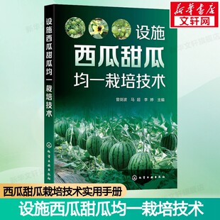 设施西瓜甜瓜均一栽培技术 西瓜甜瓜栽培技术实用手册 西瓜甜瓜种植者企业合作社及农业技术人员阅读参考书化学工业出版社正版书籍