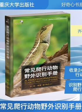 常见爬行动物野外识别手册 齐硕 正版书籍 新华书店旗舰店文轩官网 重庆大学出版社