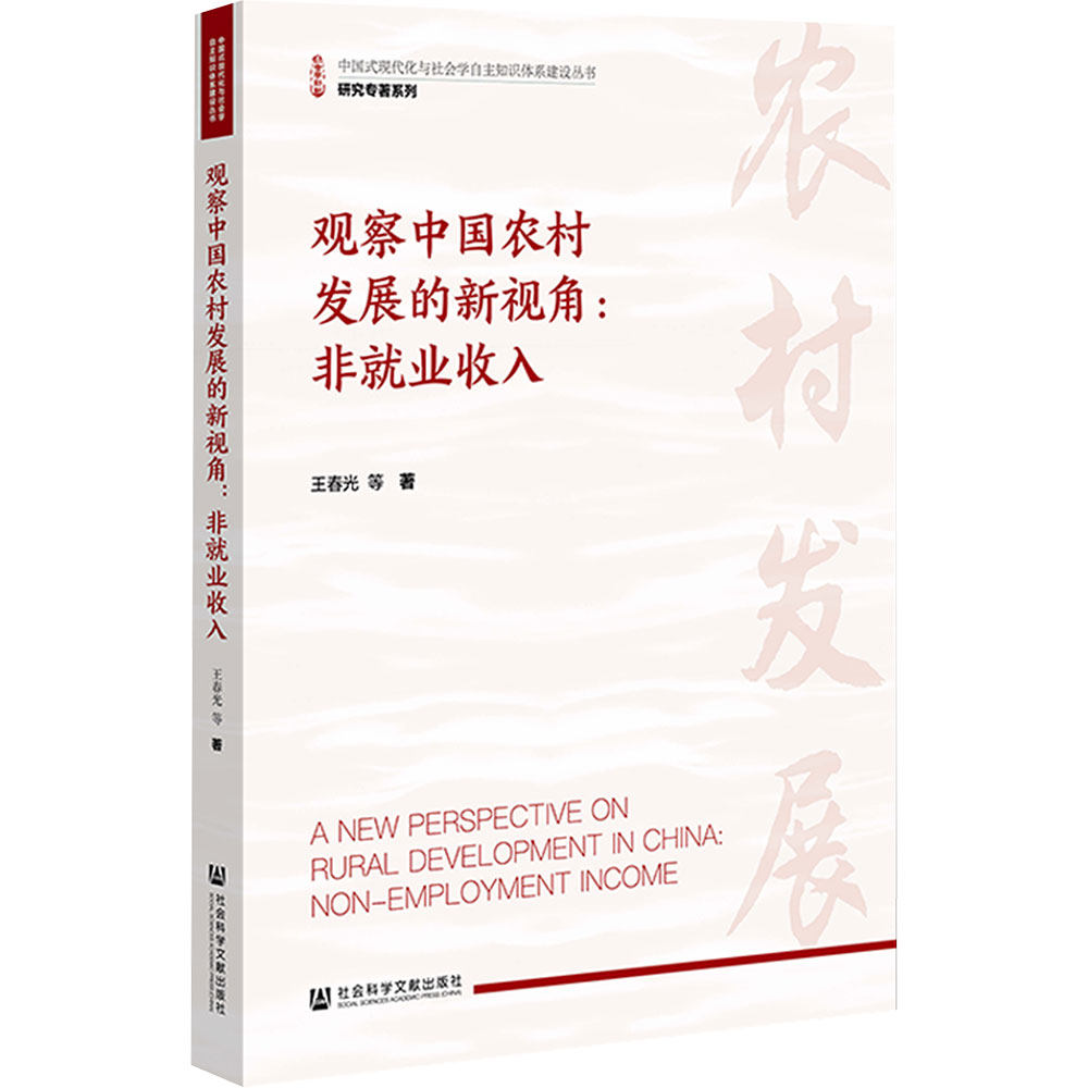 观察中国农村发展的新视角非就业收入 王春光 等 著 社会科学文献出版社 正版书籍 新华书店旗舰店文轩官网
