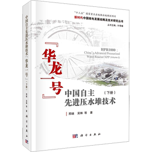 中国自主先进压水堆技术