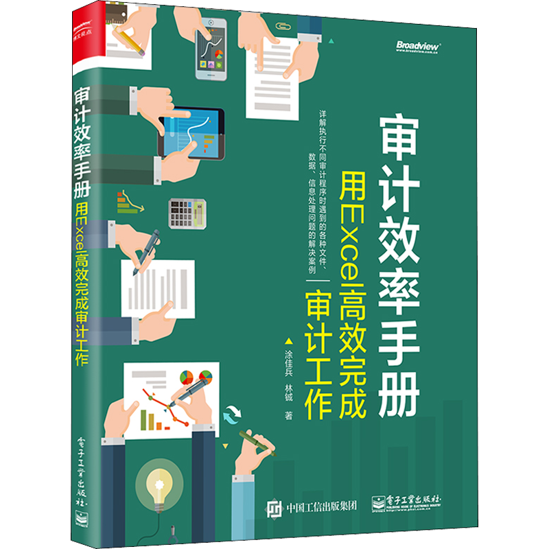 审计效率手册 用Excel高效完成审计工作 涂佳兵,林铖 正版书籍 新华书店旗舰店文轩官网 电子工业出版社