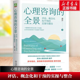 心理咨询的全景：评估、概念化和干预的实操与整合 唐芹 一幅清晰的心理咨询过程工作地图 心理咨询师丛书 机械工业出版社正版书籍