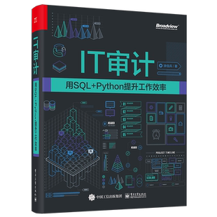 IT审计 用SQL+Python提升工作效率 涂佳兵 正版书籍 新华书店旗舰店文轩官网 电子工业出版社