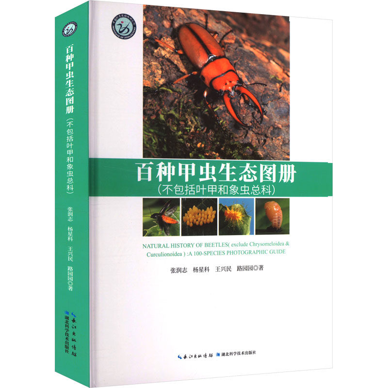 百种甲虫生态图册(不包括叶甲和象虫总科) 张润志 等 正版书籍 新华书店旗舰店文轩官网 湖北科学技术出版社
