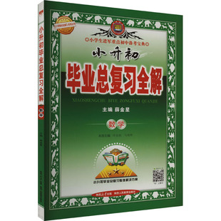 【新华正版】小升初毕业总复习全解 数学 正版书籍 新华书店旗舰店文轩官网 陕西人民教育出版社