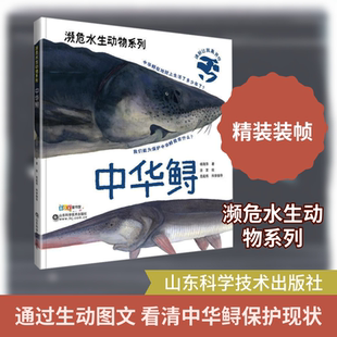 中华鲟 杨海萍 著;涂宣 绘 正版书籍 新华书店旗舰店文轩官网 山东科学技术出版社