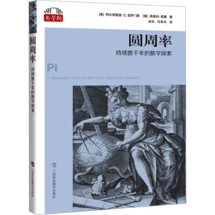 正版 新华书店旗舰店文轩官网 持续数千年 阿尔弗雷德·S.波萨门蒂 德 美 圆周率 数学探索 书籍 英格玛·莱曼 新华文轩