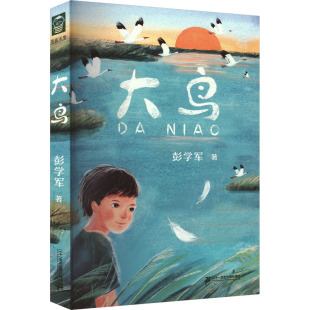 【新华文轩】大鸟 彭学军 正版书籍 新华书店旗舰店文轩官网 二十一世纪出版社集团