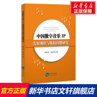 中国数字音乐IP发展现状与版权问题研究 崔恒勇 高正熙 知识产权出版社 正版书籍 新华书店旗舰店文轩官网