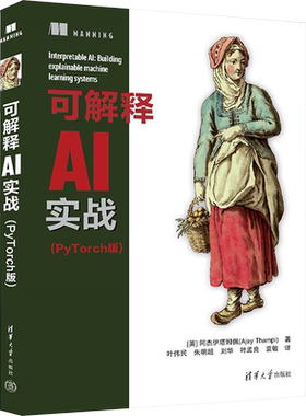 【新华文轩】可解释AI实战(PyTorch版) (英)阿杰伊·塔姆佩 著 叶伟民 等 译 人工智能本书适用于熟悉Python和机器学习的数据科学