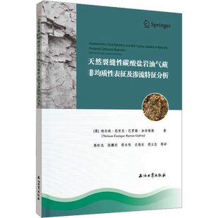 天然裂缝性碳酸盐岩油气藏非均质性表征及渗流特征分析 (墨)纳尔逊·恩里克·巴罗斯·加尔维斯 正版书籍 新华书店旗舰店文轩官网