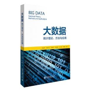 大数据:统计理论.方法与应用 朱建平，富，谢邦昌，马双鸽，张德富，方匡南，潘璠 正版书籍 新华书店旗舰店文轩官网
