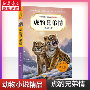 三四五六年级小学生课外阅读书籍 15岁少儿童阅读读物 动物小说图书畅销书新华 沈石溪动物小说全集系列 狼兄狼弟10 虎豹兄弟情