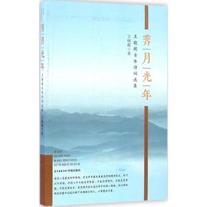 霁月光年 王晓超 著 正版书籍小说畅销书 新华书店旗舰店文轩官网 花城出版社