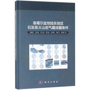准噶尔盆地陆东地区石炭系火山岩气藏成藏条件 张顺存 等 著 正版书籍 新华书店旗舰店文轩官网 科学出版社