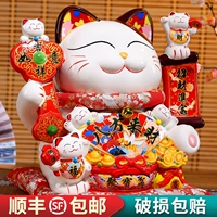 Экстравальская кошачья кошка Открытие