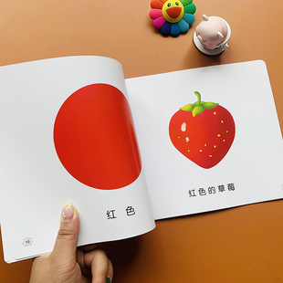 1-2-3岁托班宝宝看图数数5-10以内数字认知儿童早期数学启蒙看图认数婴儿颜色认知绘本小班中班学前数学左右脑思维训练读识数教材