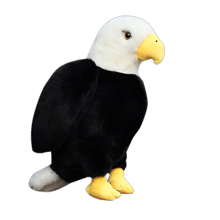 仿真鸟类公仔假鸟儿玩偶老鹰火烈鹈鹕秃鹫小鸟布娃娃动物毛绒玩具