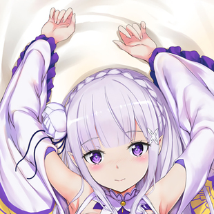 从零开始的异世界生活 艾米莉娅动漫抱枕 周边等身长抱枕头套定制