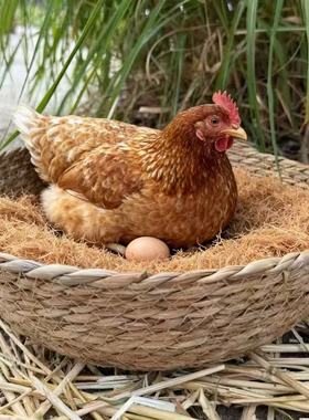 加大鸡窝猫窝鹅鸭狗通用小鸟窝鸽子窝下蛋孵蛋窝天然草编可水洗