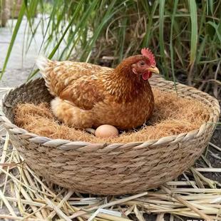 加大鸡窝猫窝鹅鸭狗通用小鸟窝鸽子窝下蛋孵蛋窝天然草编可水洗