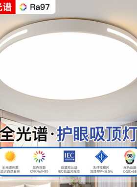 LED吸顶灯圆形客厅灯现代简约大气超薄北欧卧室餐厅阳台过道灯具