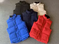 Vest