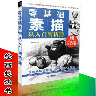 飞乐鸟工作室 著 结构素描 零基础素描从入门到精通 素描书籍9787517054450 素描头像 附教学视频 素描几何体 正版 素描静物