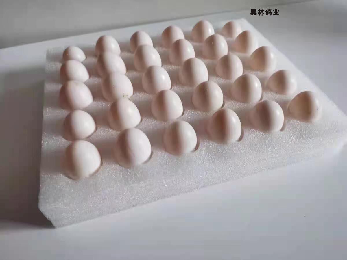 夏季推荐小包装 精选鸽子蛋新鲜20枚孕妈宝宝辅食纯粮散养包邮