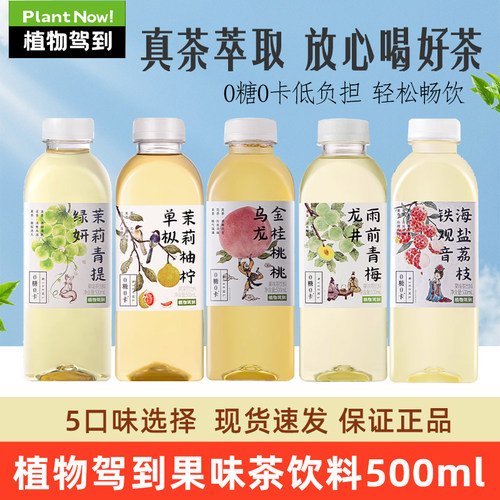 植物驾到0糖0脂果味茶饮料500ml*15瓶整箱茉莉青提西柚柠檬饮品