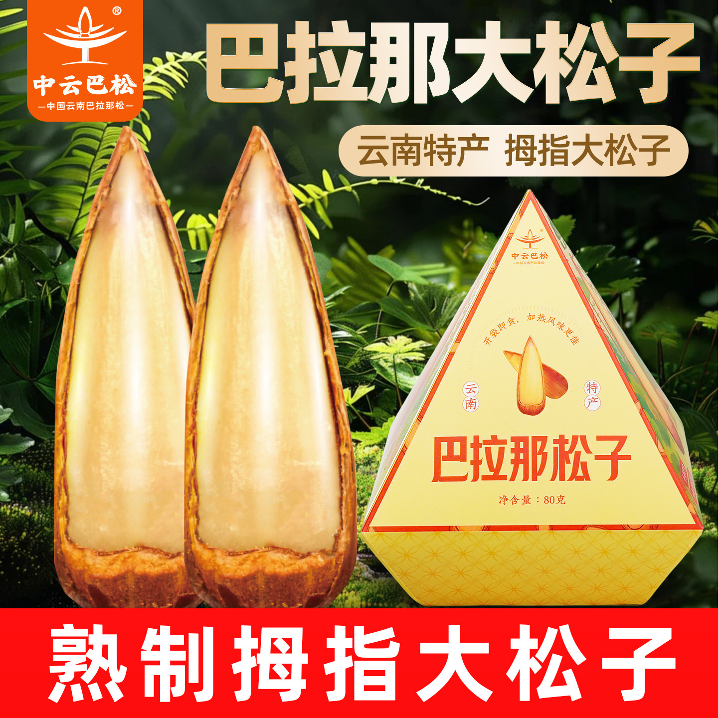 中云巴松巴拉那松子正宗原味熟食拇指大松子开口手剥云南特产盒装,零食/坚果/特产,东北松子,淘宝优惠券,粉丝福利购,淘宝优惠卷