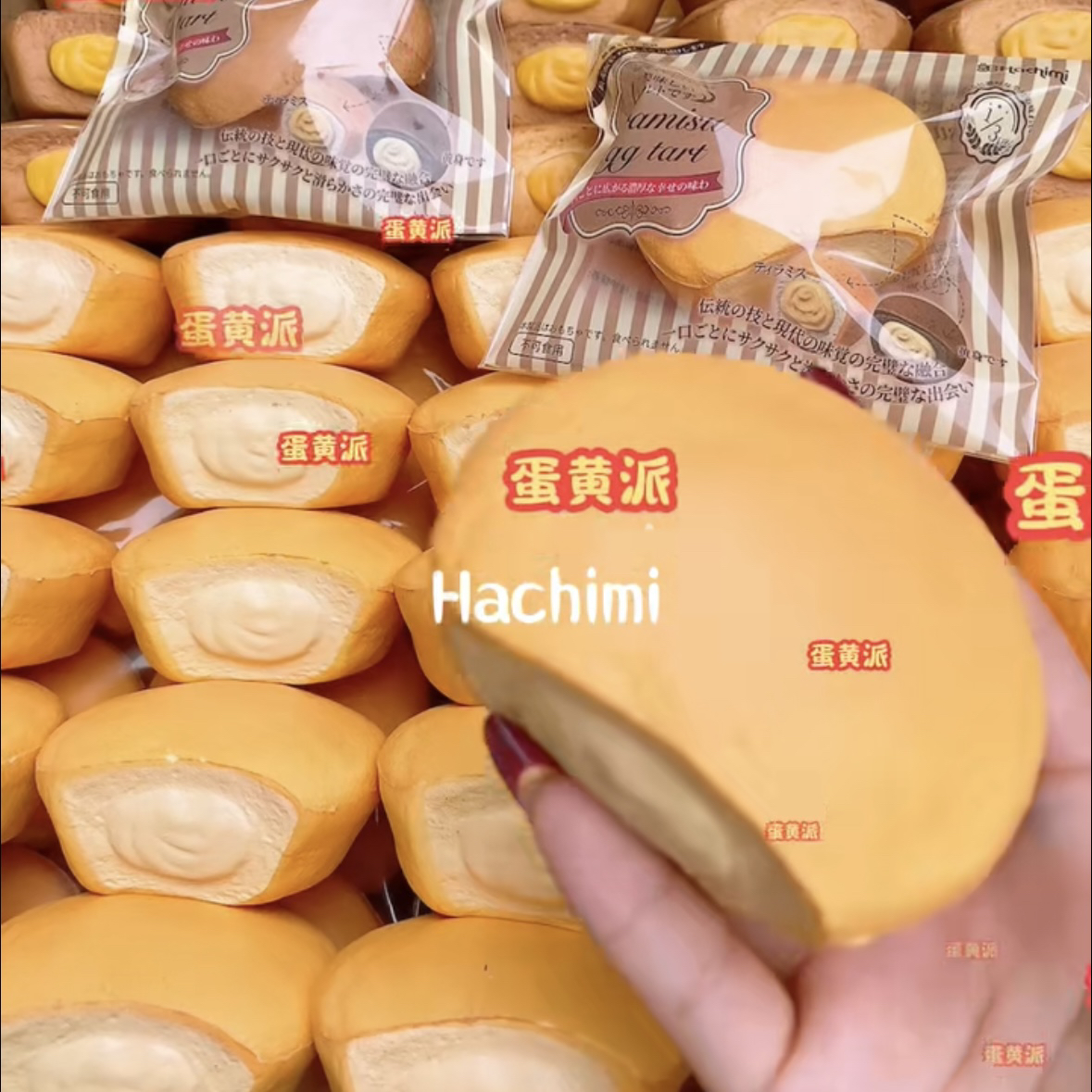 哈基米蛋黄派提拉米苏慢回弹玩具捏捏乐squishy仿真面包黄油棒