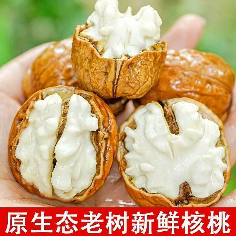 2026现摘新鲜湿核桃嫩核桃去纸皮/薄皮核桃
