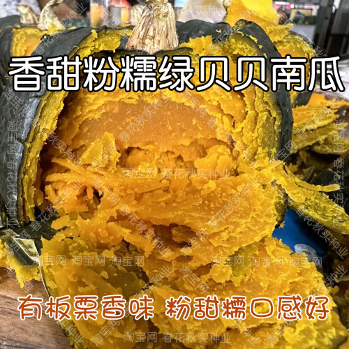 香甜粉糯绿贝贝南瓜种子籽板栗味
