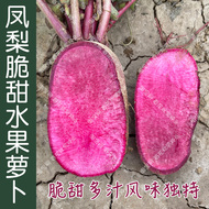 凤梨水果萝卜种子脆甜