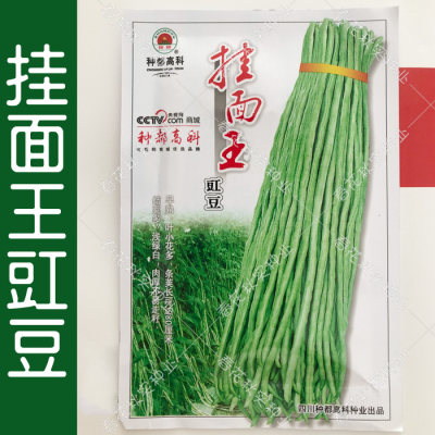 早熟春季蔬菜籽豆角种子