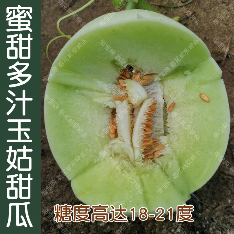 蜜甜玉姑高糖绿肉甜瓜种子 春秋季播超甜水果籽 阳台盆栽易种好吃,鲜花速递/花卉仿真/绿植园艺,家庭园艺种子,淘宝优惠券,粉丝福利购,淘宝优惠卷
