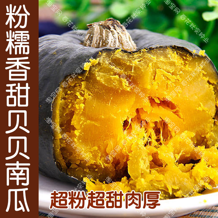 超甜超粉麻籽绿贝贝小南瓜种子 春秋季播蔬菜籽 板栗味香甜可口孑,鲜花速递/花卉仿真/绿植园艺,家庭园艺种子,淘宝优惠券,粉丝福利购,淘宝优惠卷