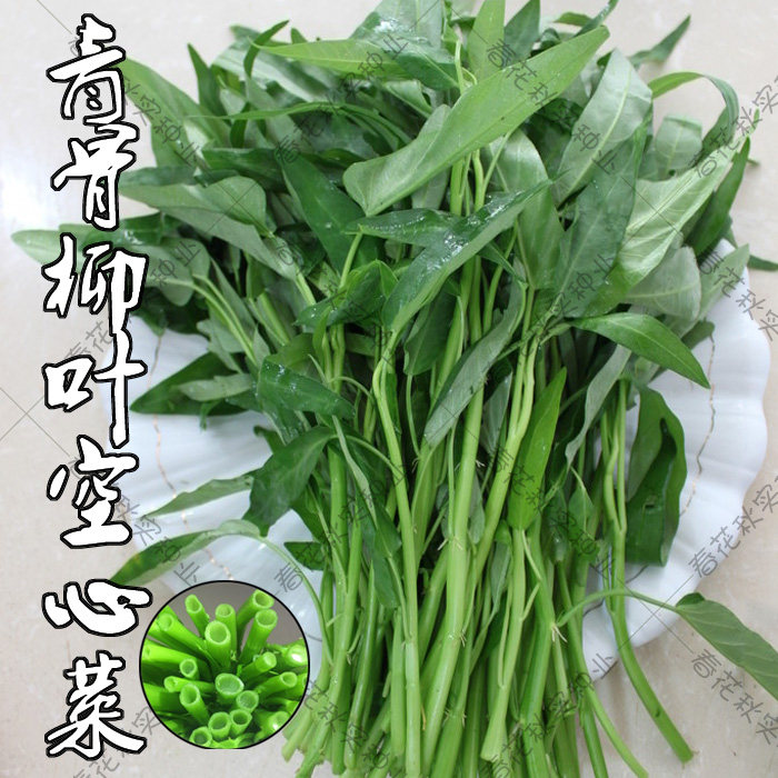 青柳叶空心菜种子 春夏秋四季播油青白骨蔬菜籽 阳台盆栽大田高产,鲜花速递/花卉仿真/绿植园艺,家庭园艺种子,淘宝优惠券,粉丝福利购,淘宝优惠卷