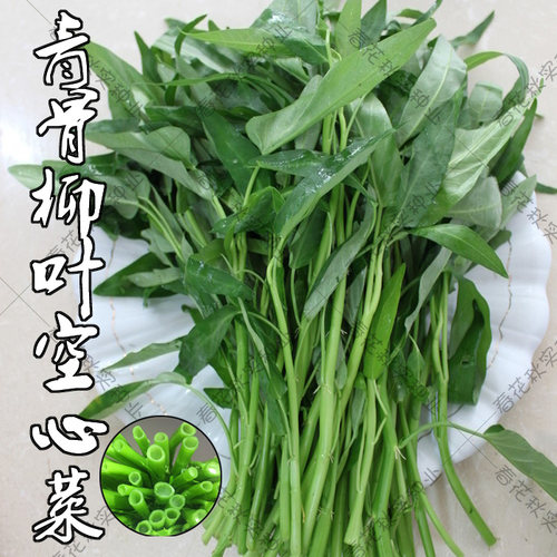 鲜嫩青柳叶空心菜种子易种