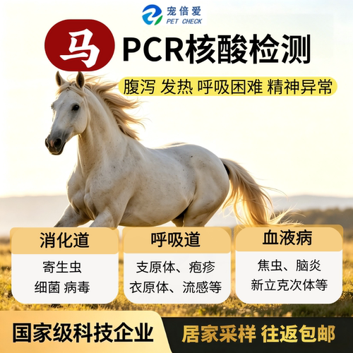 马PCR检测呼吸道喷嚏鼻涕消化道便血液寄生虫
