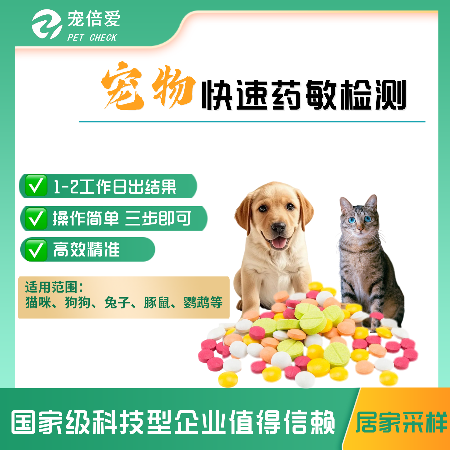 猫咪狗狗兔子鹦鹉宠物快速抗生素药敏检测高效精准快速出结果