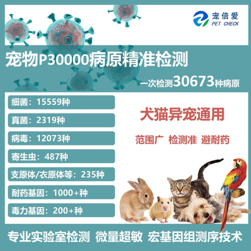 猫狗消化道Pro细菌真菌精准筛查