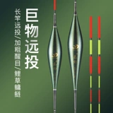 鲢鳙 鲢鳙!