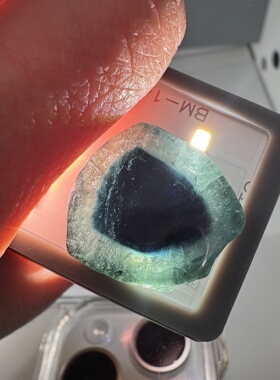 T012 稀有蓝色碧玺 天然鹰眼碧玺珍品包心西瓜双蓝原石裸石牛鼻孔