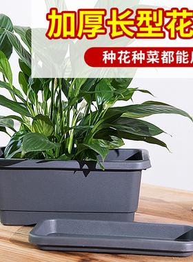 阳台种菜盆种菜神器家庭阳台蔬菜长方形塑料长条花盆槽盆栽种植盆
