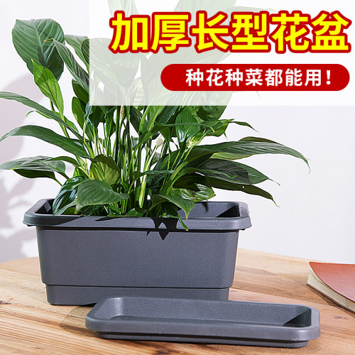 长方形阳台种菜花盆送托盘